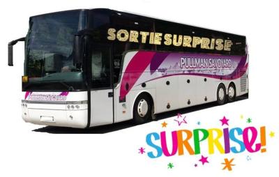 SORTIE SURPRISE DE NOEL