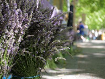 Fête de la Lavande à Montélimar